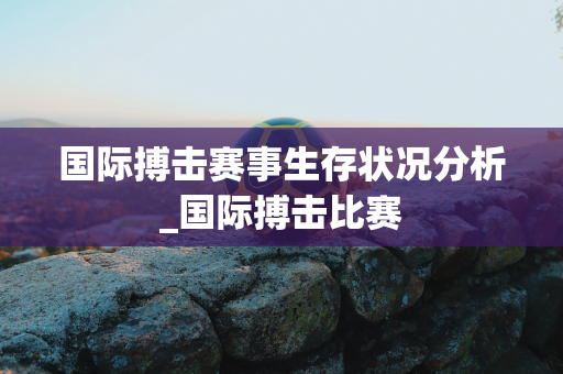 国际搏击赛事生存状况分析_国际搏击比赛