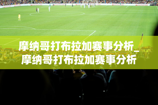 摩纳哥打布拉加赛事分析_摩纳哥打布拉加赛事分析