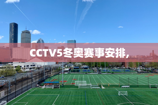 CCTV5冬奥赛事安排,