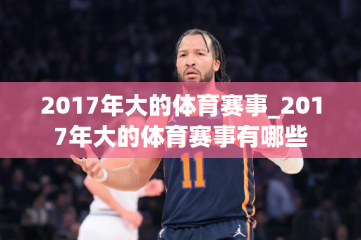 2017年大的体育赛事_2017年大的体育赛事有哪些