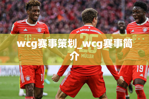 wcg赛事策划_wcg赛事简介