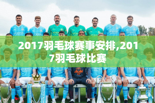 2017羽毛球赛事安排,2017羽毛球比赛