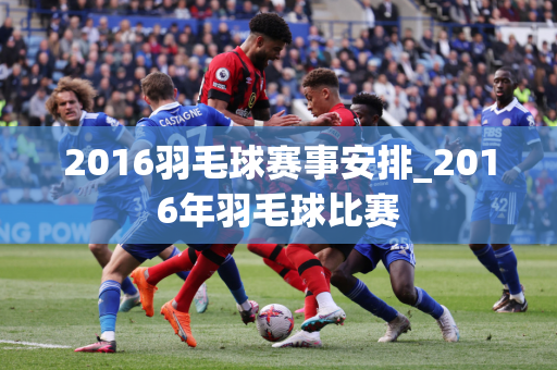 2016羽毛球赛事安排_2016年羽毛球比赛