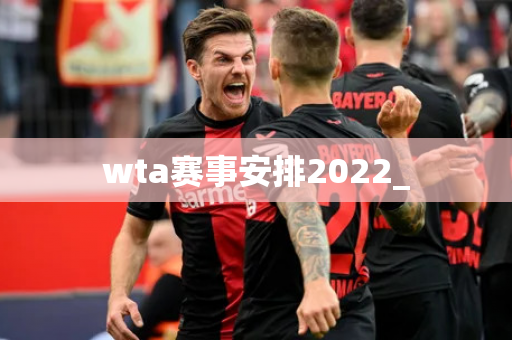 wta赛事安排2022_